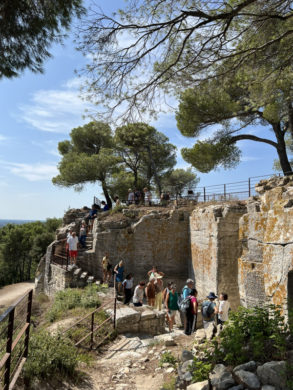 Visites Guidées