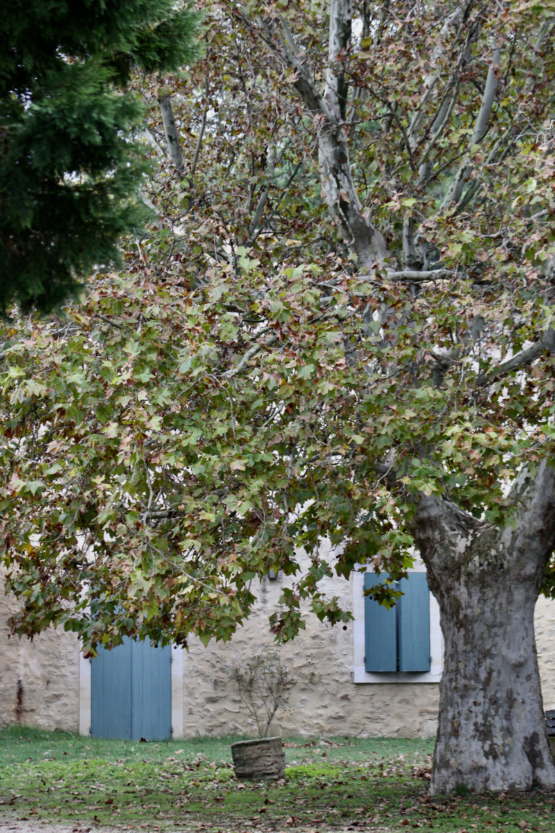 Mas Des Lecques_Beaucaire