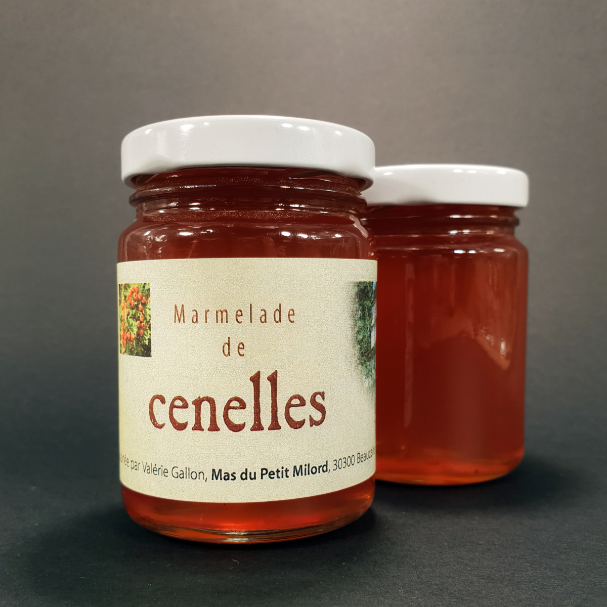 019-domaine-du-petit-mylord-produit-du-terroir-ferme-gard-beaucaire-confiture-marmelade-de-cenelle-1-2-2136
