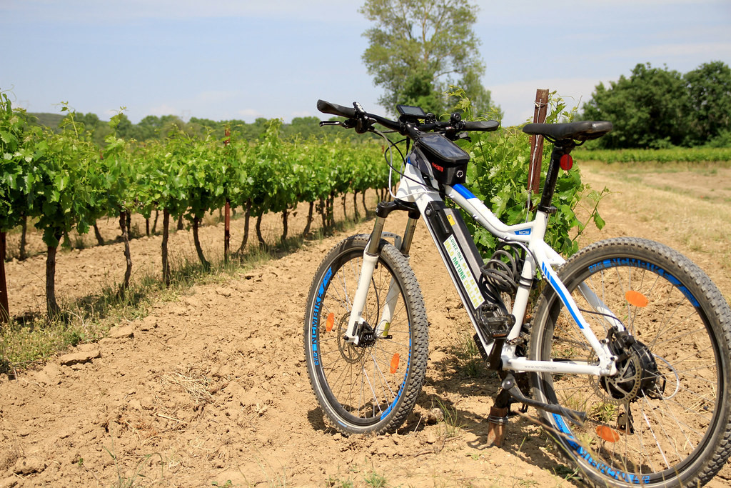Electric mountain bike parked on a dirt track in a vineyard, with rows of grapevines and trees in the background.