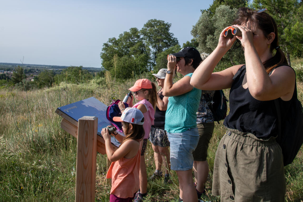 Observation des oiseaux migrateurs en famille à Beaucaire Adultes et enfants observant les oiseaux migrateurs à l'aide de jumelles lors d'une sortie nature à Beaucaire, à proximité d'un panneau d'information.