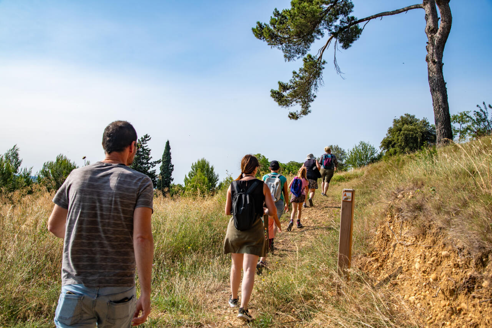 Sortie nature et découverte des oiseaux migrateurs à Beaucaire Groupe de participants marchant sur un sentier bordé de végétation, lors d'une sortie de découverte des oiseaux migrateurs dans les espaces naturels de Beaucaire.