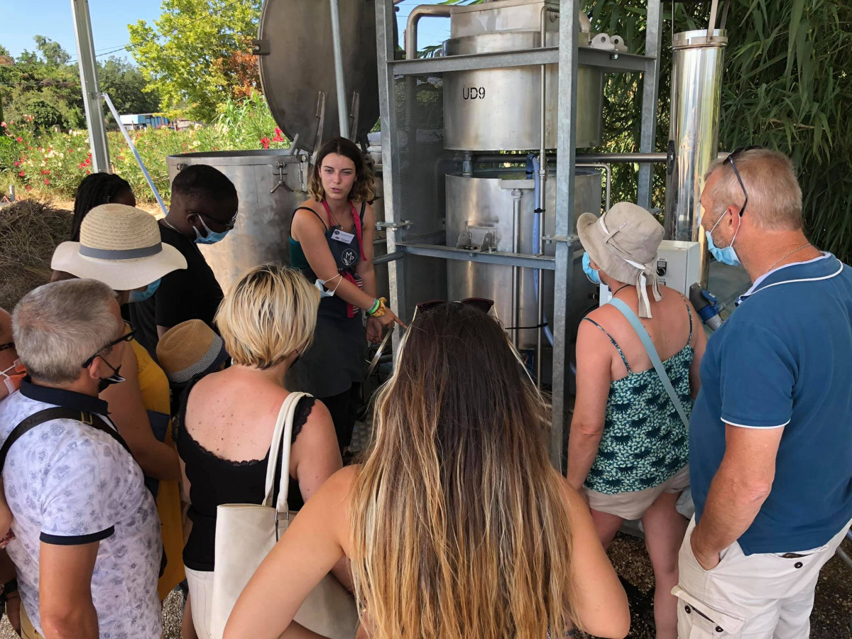 Visites guidées au Mas en Provence