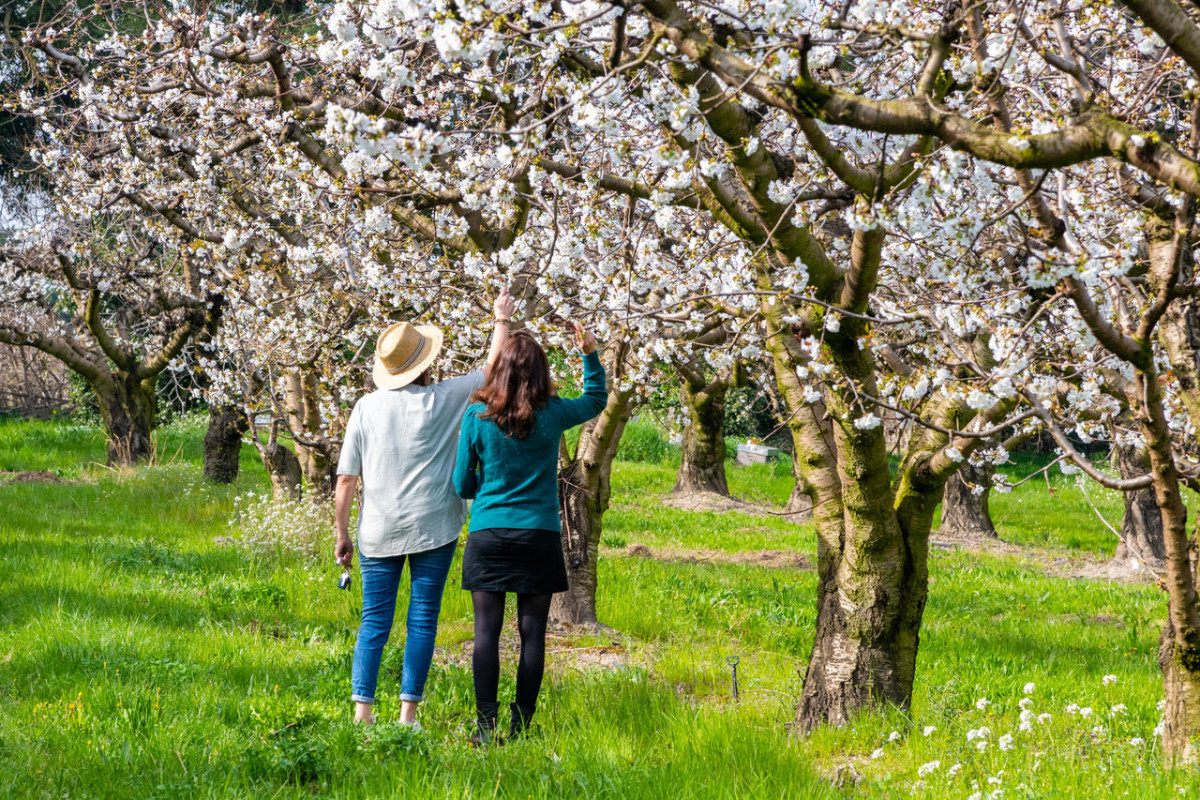 Petit-déjeuner au verger
