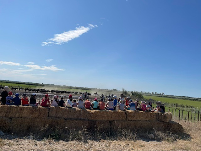 Evening at a Manade, a time for sharing_Bellegarde