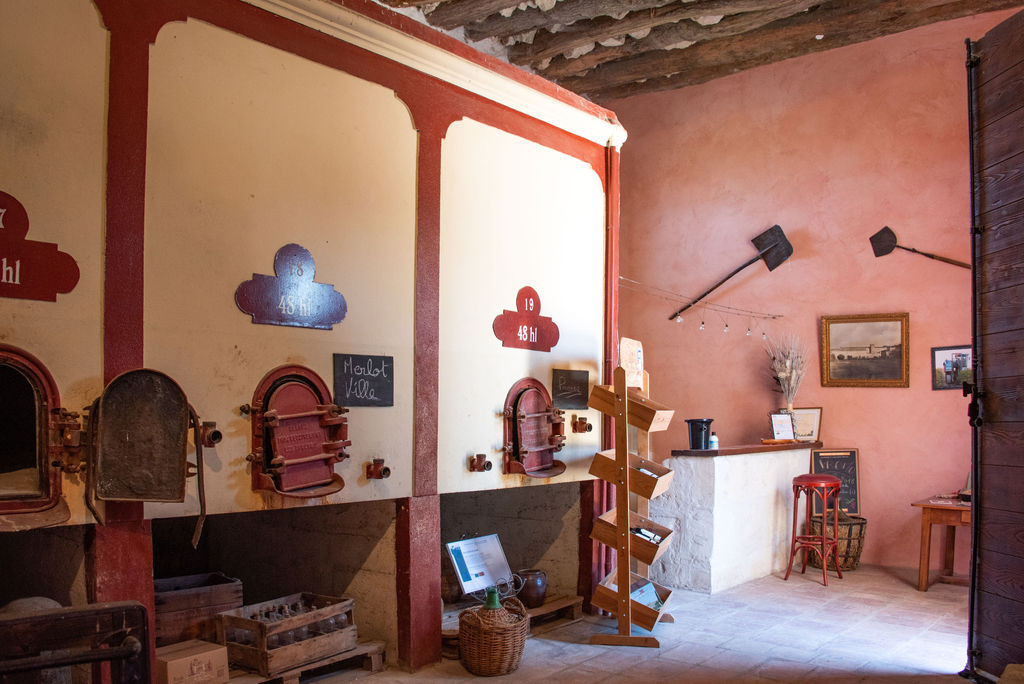 Visite et dégustation du Domaine de la Tour_Beaucaire