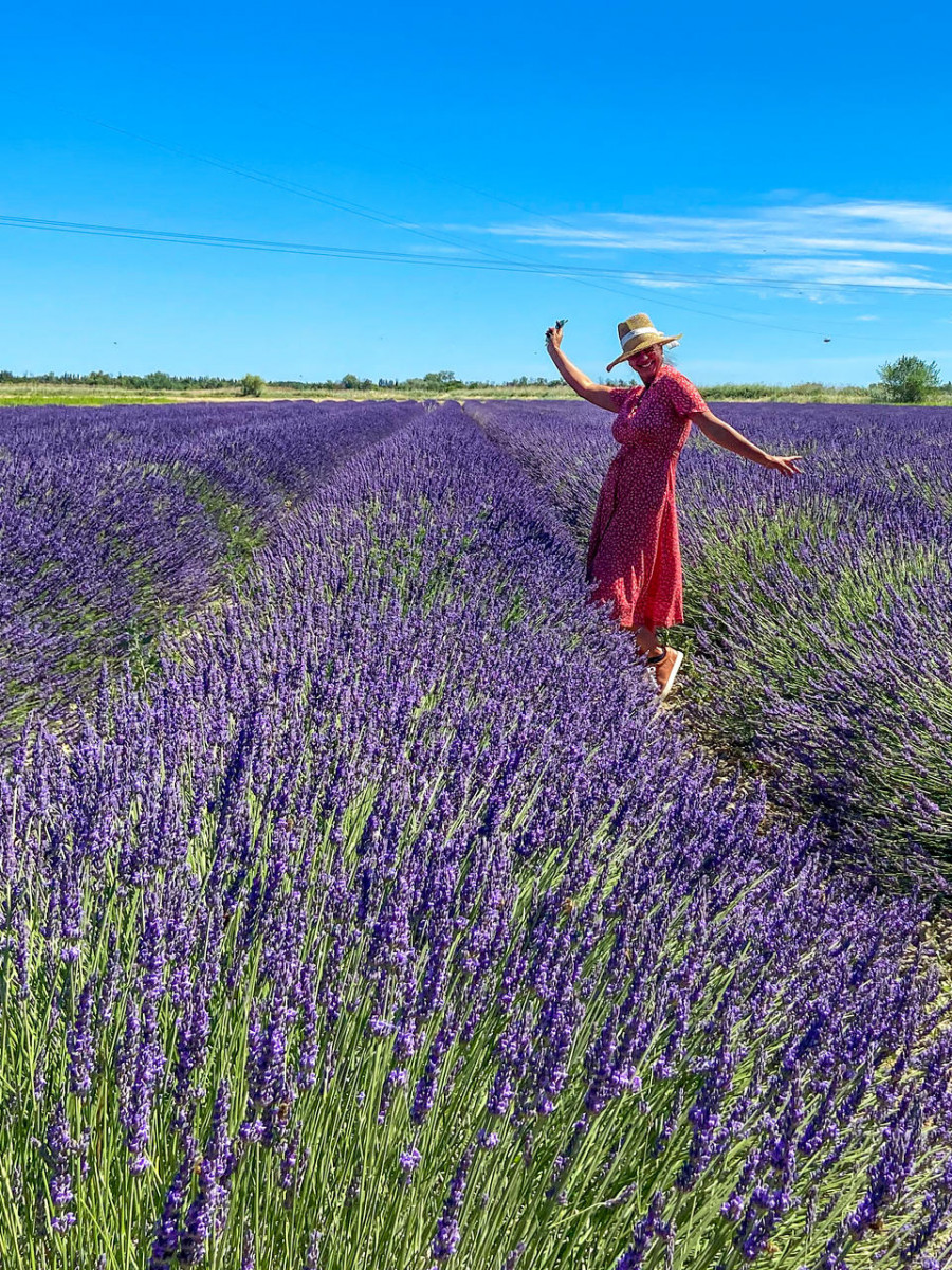 Atelier cueillette et distillation des lavandins chez Un Mas en Provence_Bellegarde Atelier cueillette et distillation des lavandins chez Un Mas en Provence_Bellegarde