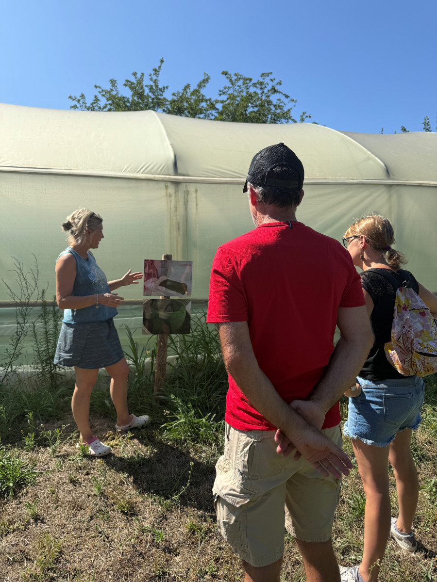 Créez votre Super Smoothie !_Jonquières-Saint-Vincent Créez votre Super Smoothie !_Jonquières-Saint-Vincent