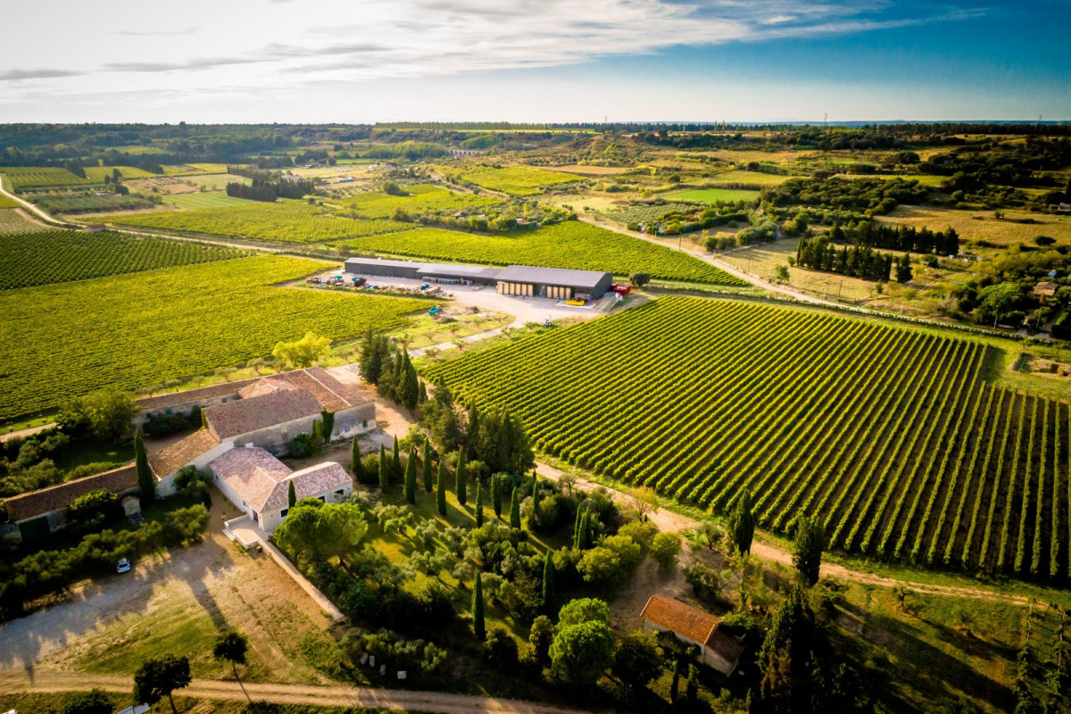 Immersion dans l'histoire et le vin au Mas des Tourelles_Beaucaire