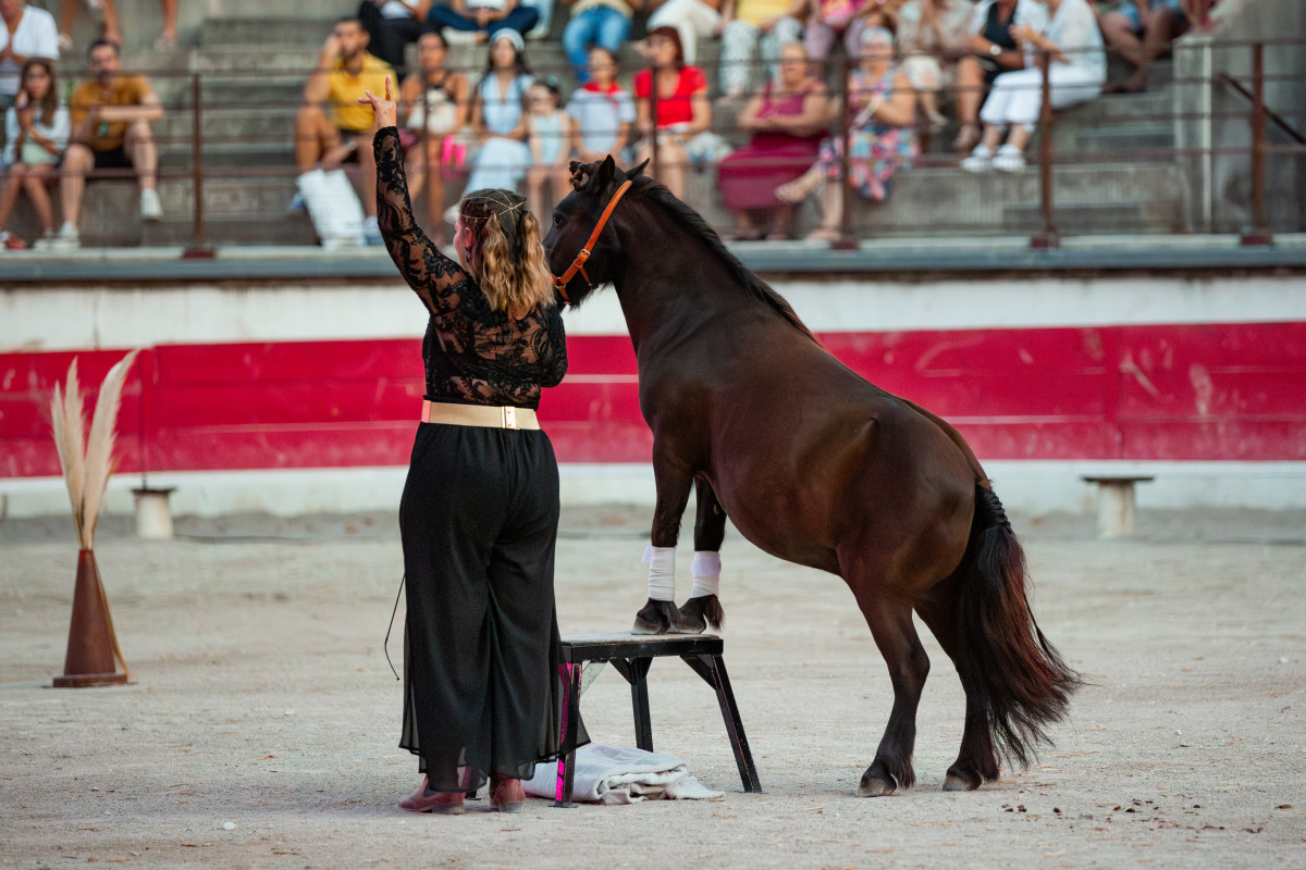 Spectacle Equestre - Escales Equestres_Bellegarde
