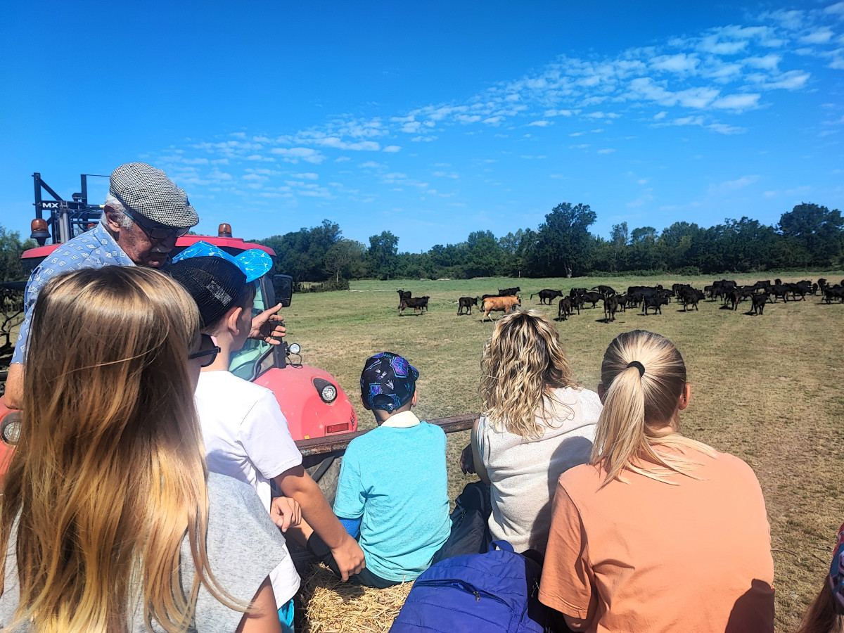Immersion dans l'univers des Gardians_Vallabrègues