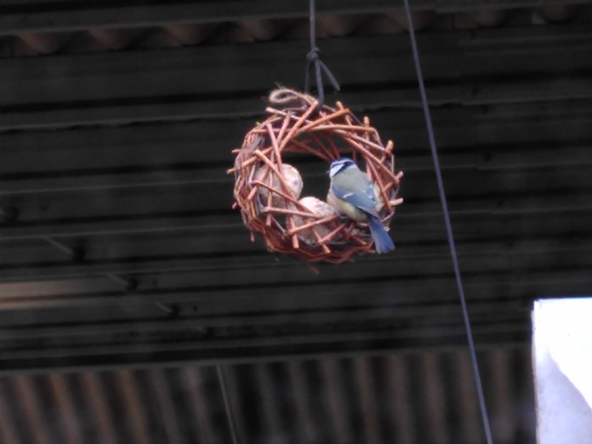 Envolée Vannières - Tressage roue à oiseaux_Vallabrègues - © Atelier Bruissant Envolée Vannières - Tressage roue à oiseaux_Vallabrègues