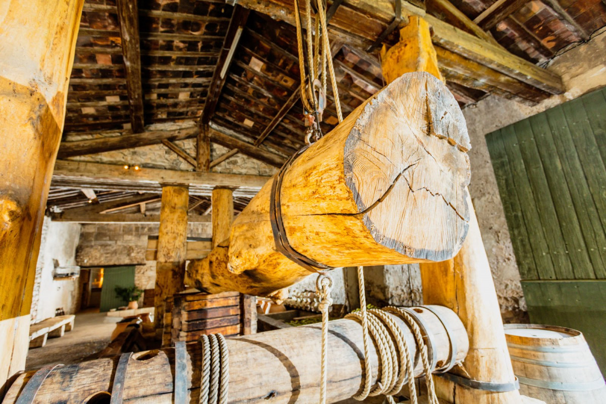 Immersion in history and wine at Mas des Tourelles_Beaucaire