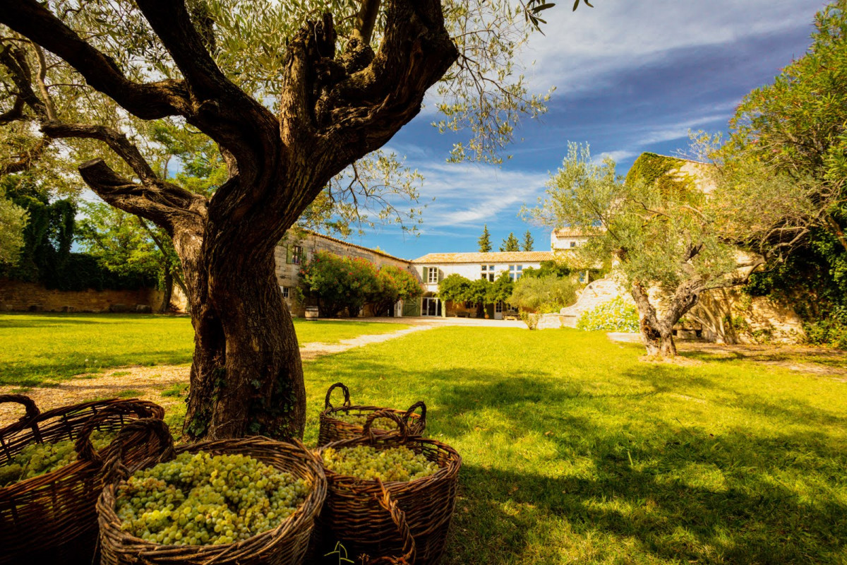 Immersion in history and wine at Mas des Tourelles_Beaucaire