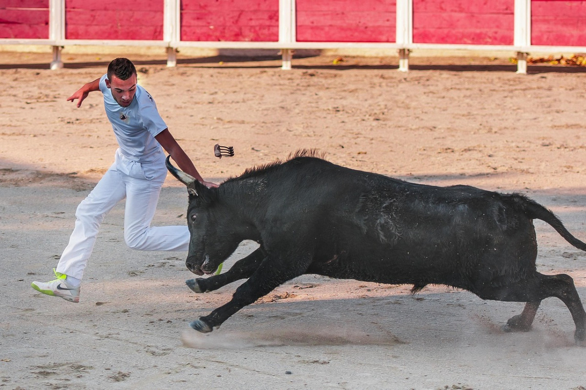 The Camargue race explained_Beaucaire