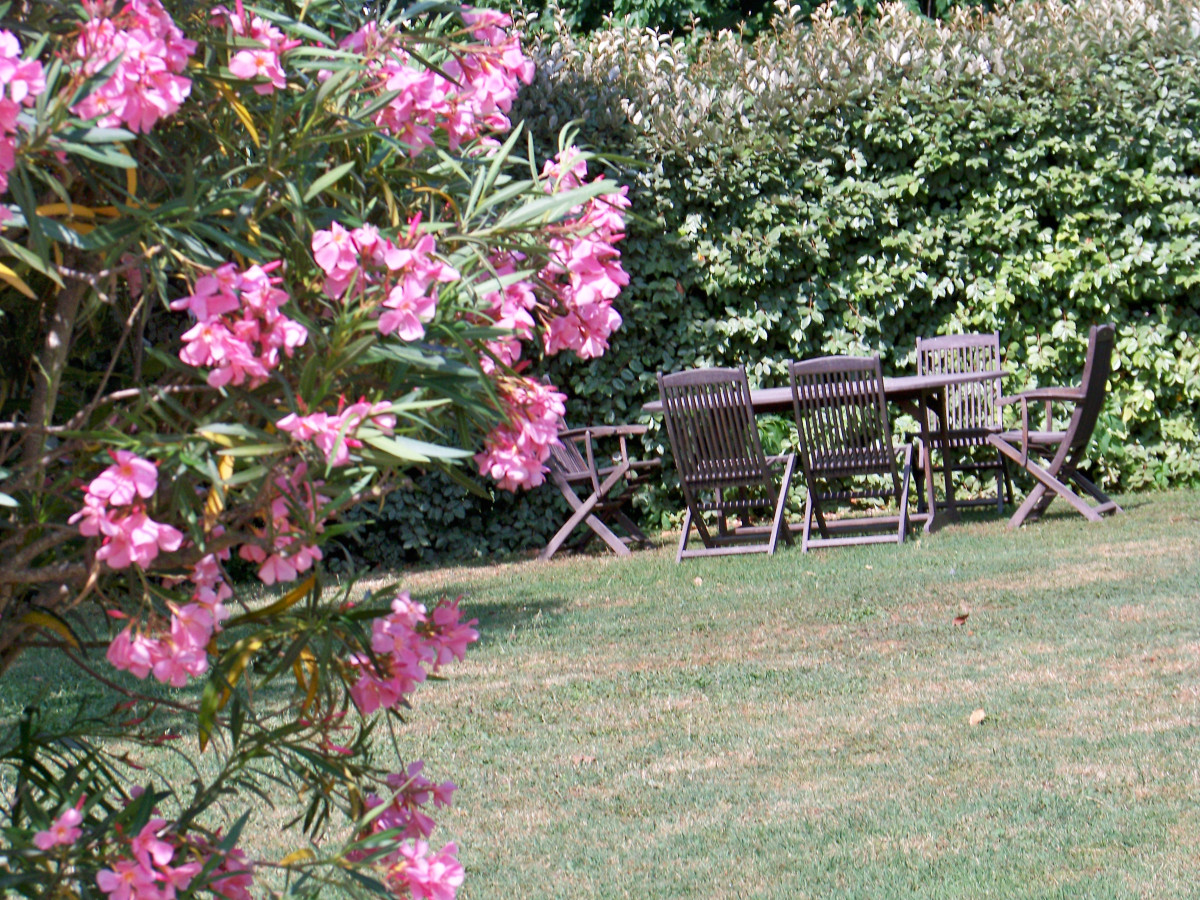 Cottage for 5 People – Cottage in Petite Camargue_Fourques