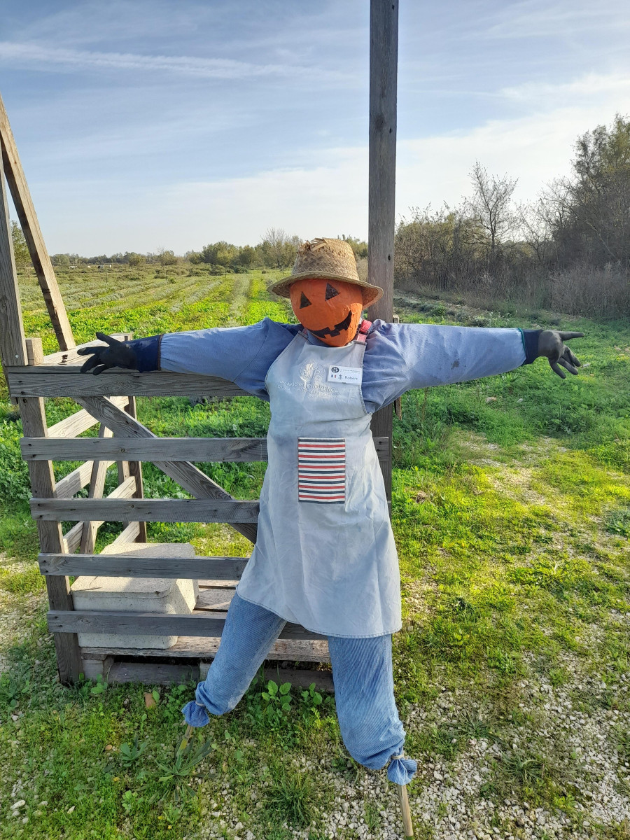 Halloween at the Mas in Provence_Bellegarde