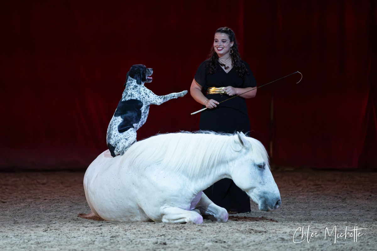 Spectacle Equestre - Harmonie Equestre_Bellegarde