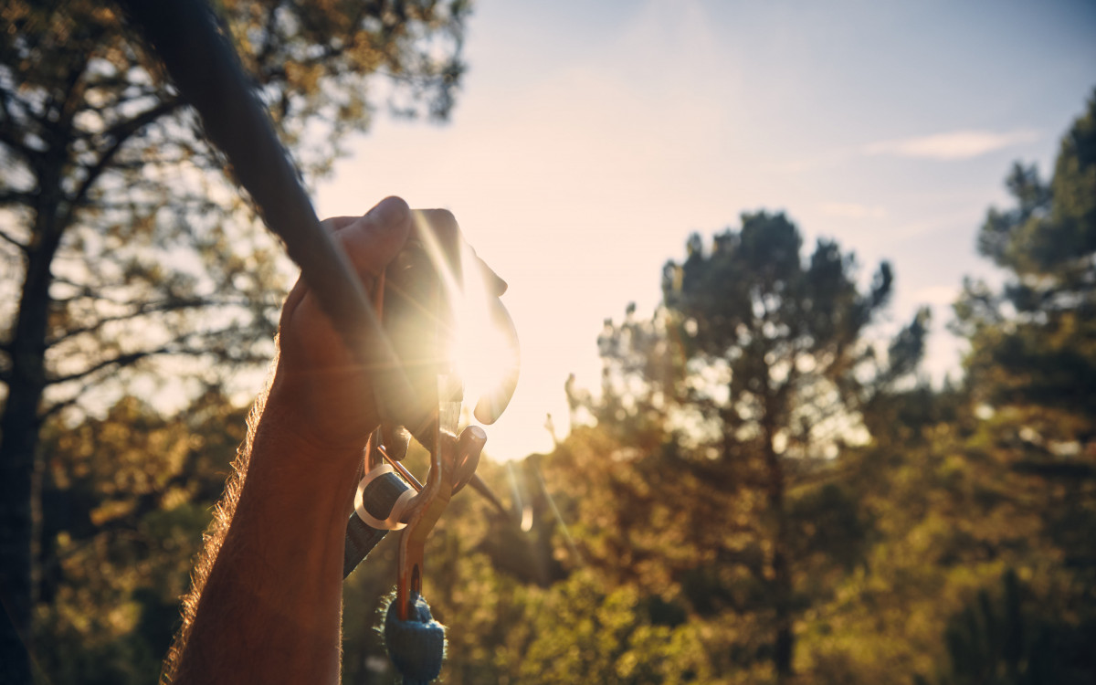 Close-up of a hand holding a carabiner attached to a treetop adventure safety cable, with sunlit forest trees in the background.
