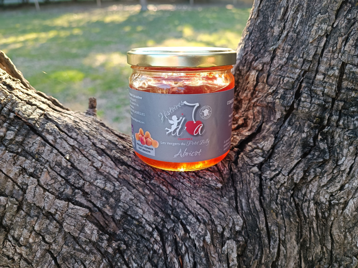 confiture-abricot-1205