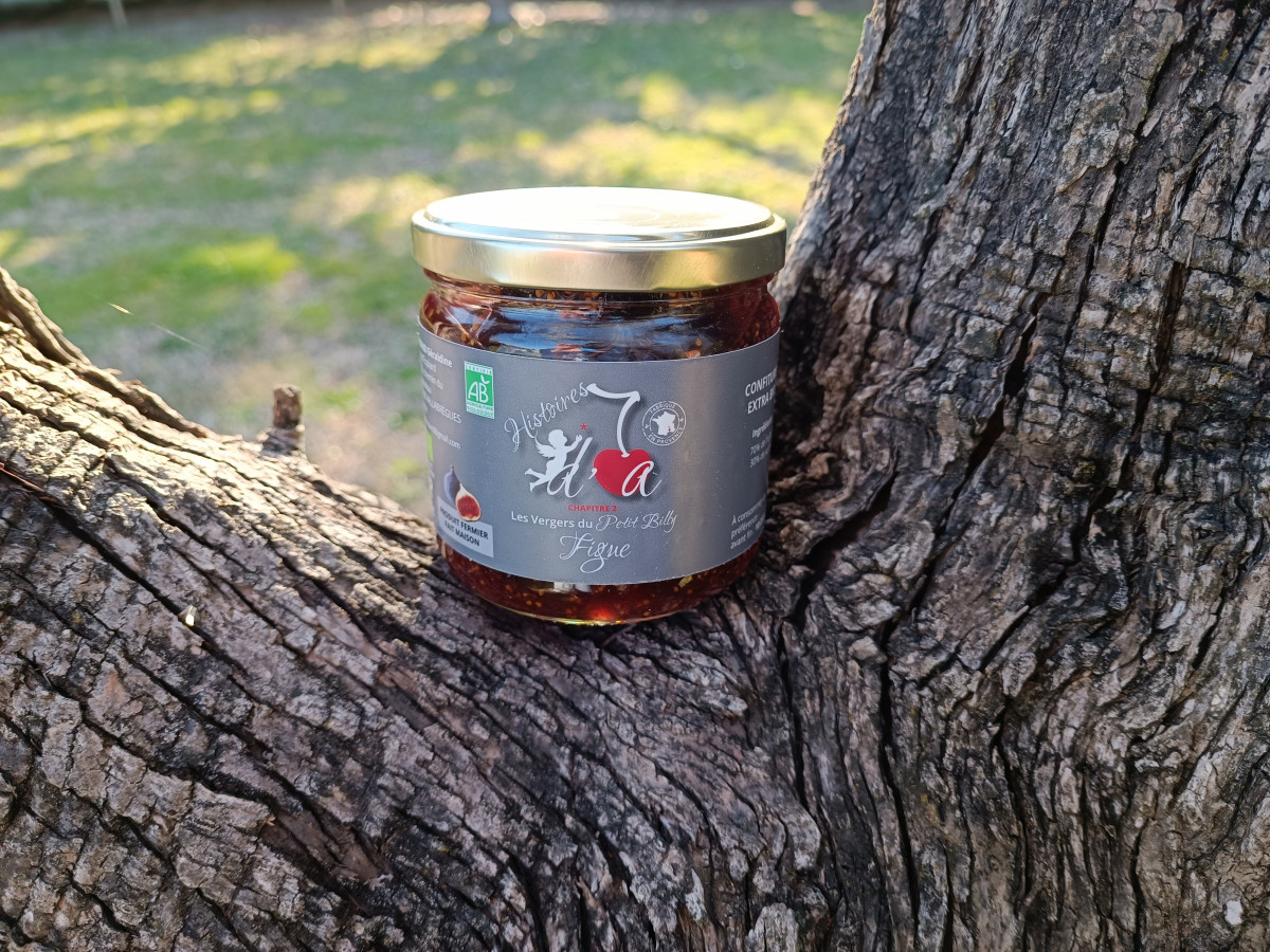 confiture-figue-1136