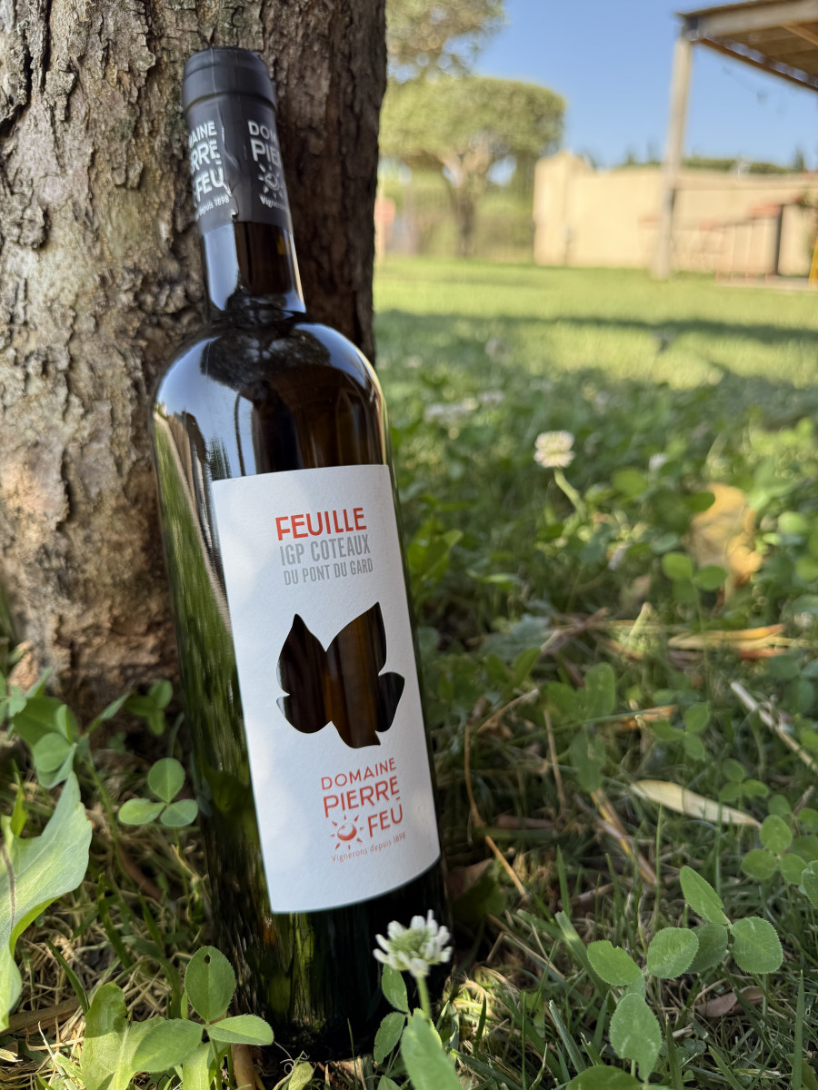 feuille-7875