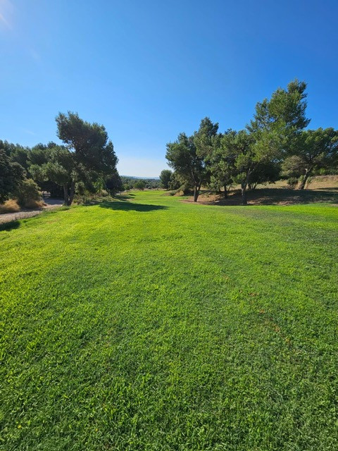 View of a green fairway at Golf de Saint-Roman, bordered by pine trees and natural surroundings beneath a clear blue sky.