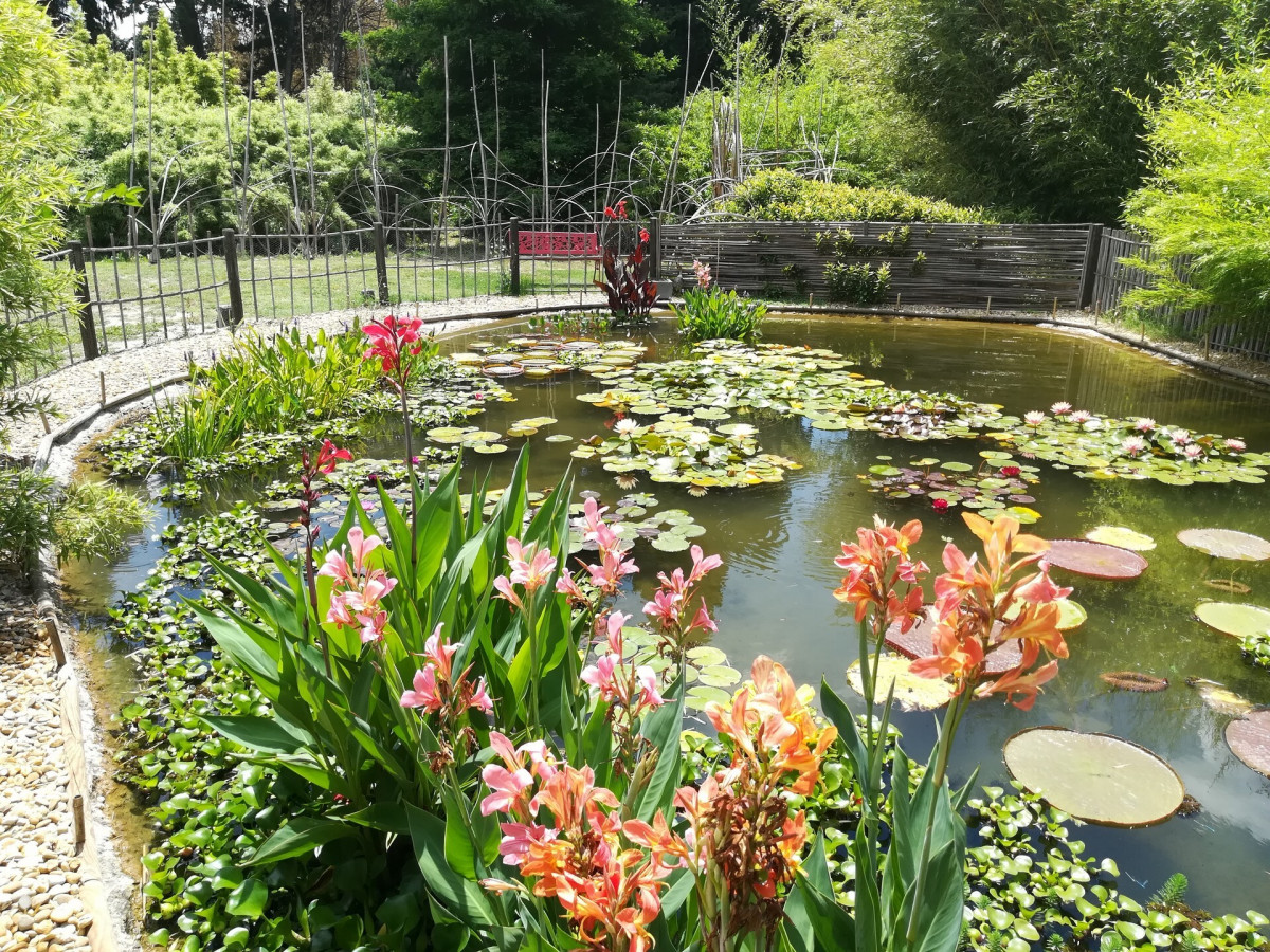 Jardin Bambou en Provence - Eyragues Jardin Bambou en Provence - Eyragues