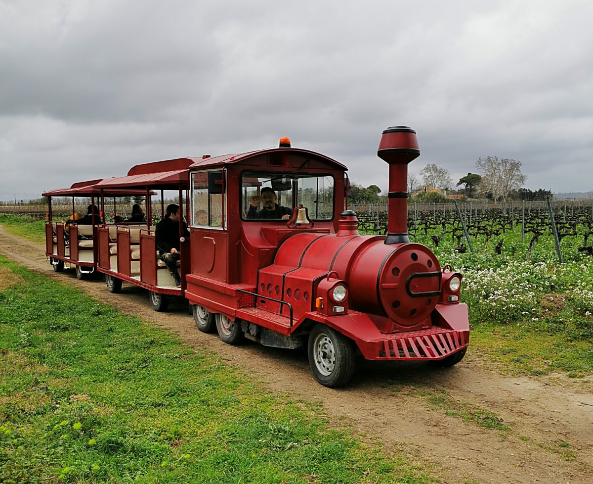 Red tourist train with passenger carriages travelling along a path bordered by vegetation on a tour of Le Vieux Mas.