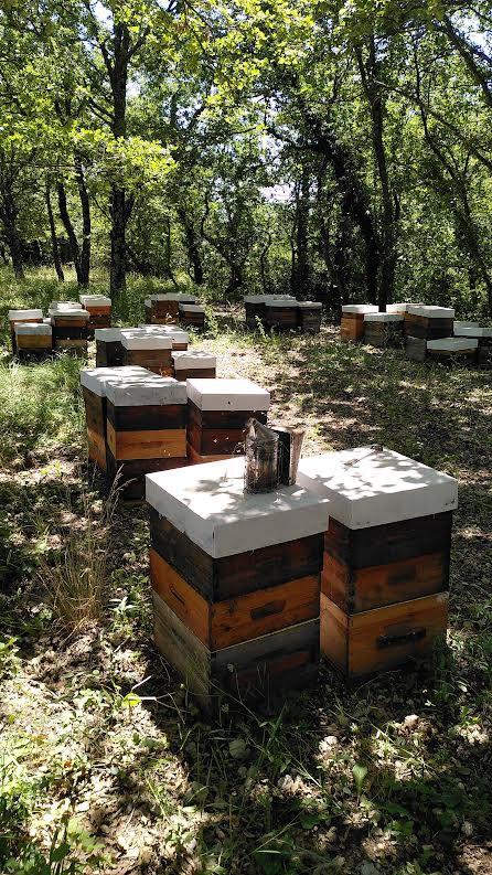 honey-set-au-miel-occitan