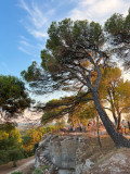 Apéro-panorama à l'Abbaye de Saint-Roman_Beaucaire