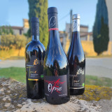 Visite et dégustation du Domaine de la Tour_Beaucaire