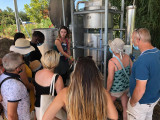 Visites guidées au Mas en Provence
