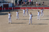 The Camargue race explained_Beaucaire
