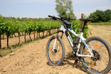 Electric mountain bike parked on a dirt track alongside rows of grapevines, illustrating a full-day cycling outing with Kayak Vert.