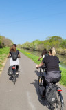 Visite guidée - Tous en selle !_Beaucaire