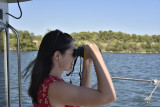 balade sur leau black bee boating