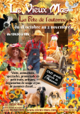 f-te-automne-vieux-mas-15209