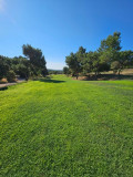View of a green fairway at Golf de Saint-Roman, bordered by pine trees and natural surroundings beneath a clear blue sky.
