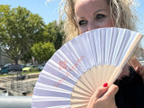img-1907-12954