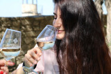 img-3050-13054