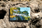 img-3257-12844