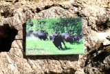 img-3259-12841