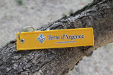 img-3279-13024