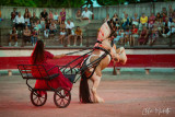 Equestrian Show – Escales Équestres_Bellegarde