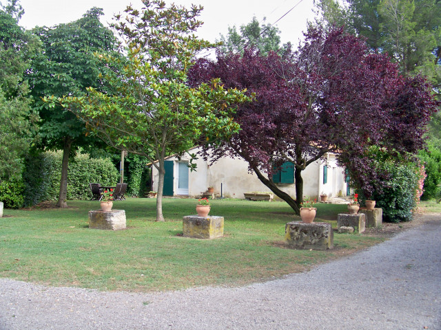 Gîte 5 personnes - Gîte En Petite Camargue_Fourques