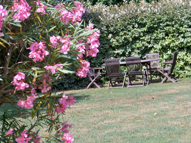 Gîte 5 personnes - Gîte En Petite Camargue_Fourques