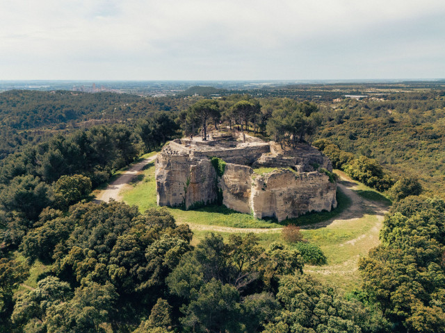 Saint-Roman Abbey – Aerial View Aerial view of Saint-Roman Abbey, a monument carved into a rocky outcrop surrounded by vegetation, with remains visible on the summit.