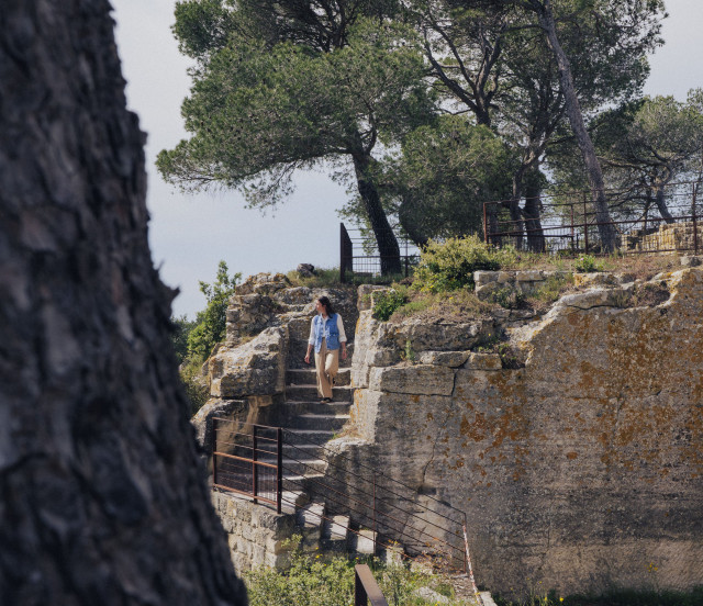 Saint-Roman Abbey – Exterior and Pine Trees Exterior view of Saint-Roman Abbey with a visitor on the upper part of the site, rocky walls and pine trees.