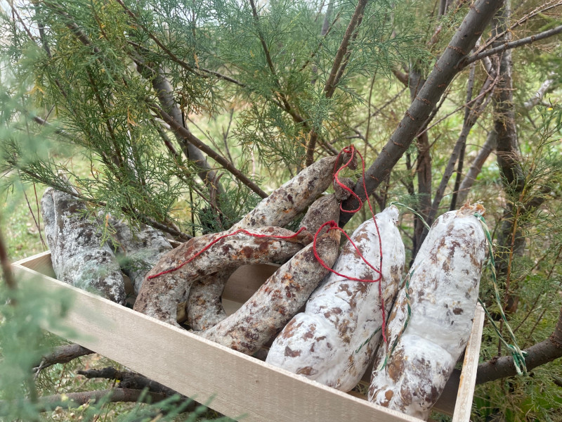 img-6259-19115 img-6259-19115